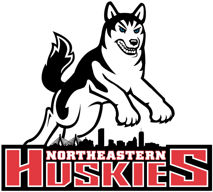 Northeastern Huskies 2001-2006 Primary Logo iron on transfers for fabric